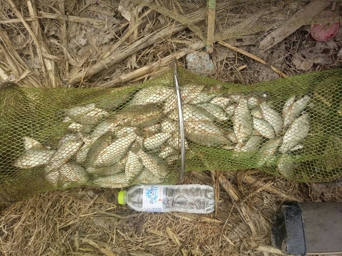 野钓装备饵料,野钓装备有哪些