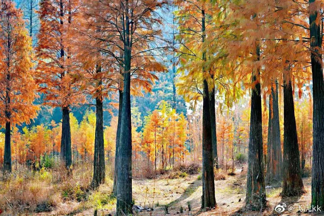 长沙梅溪湖拍照的网红打卡地,长沙梅溪湖网红打卡地在哪个站下