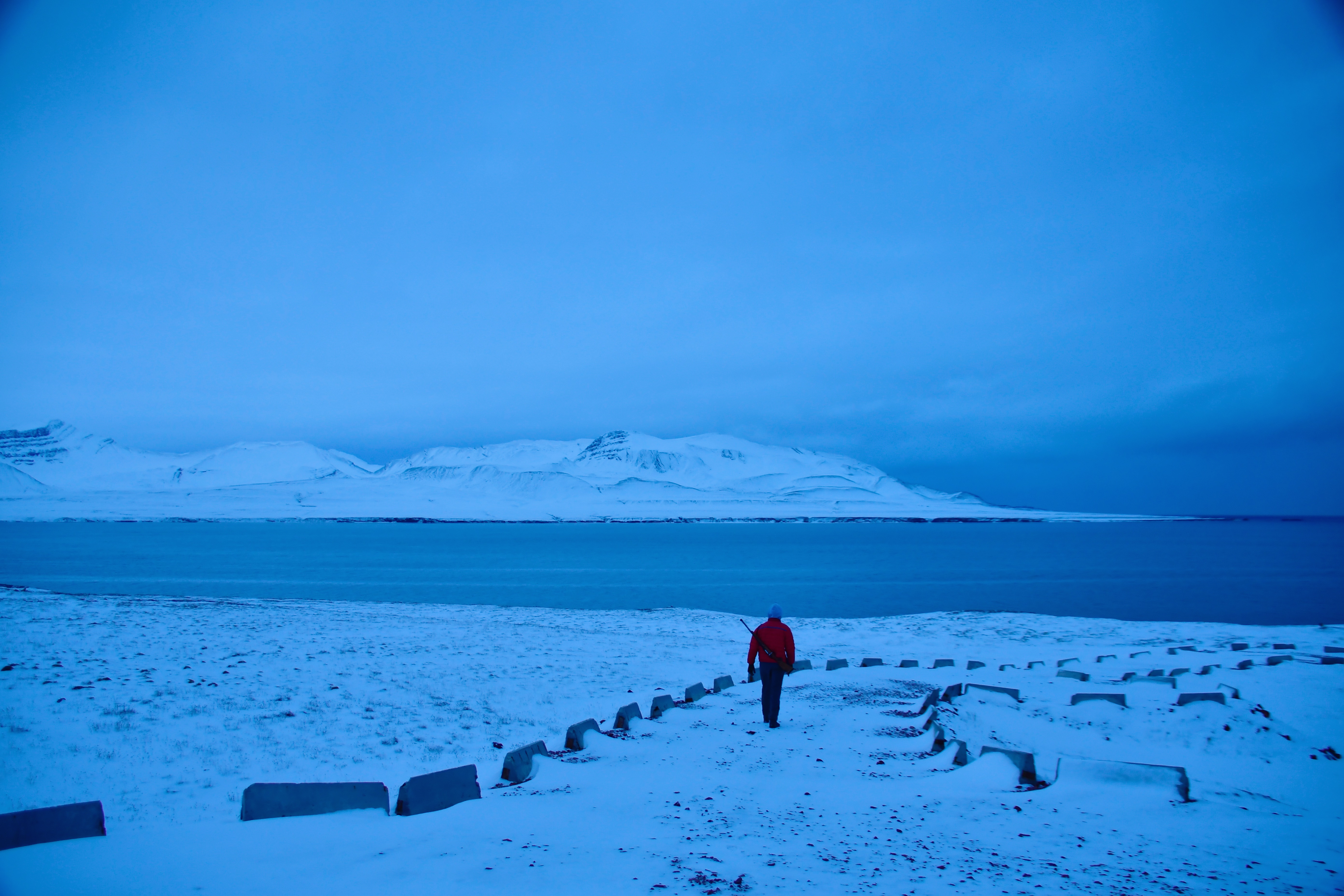 斗鱼直播河北,斗鱼直播北极