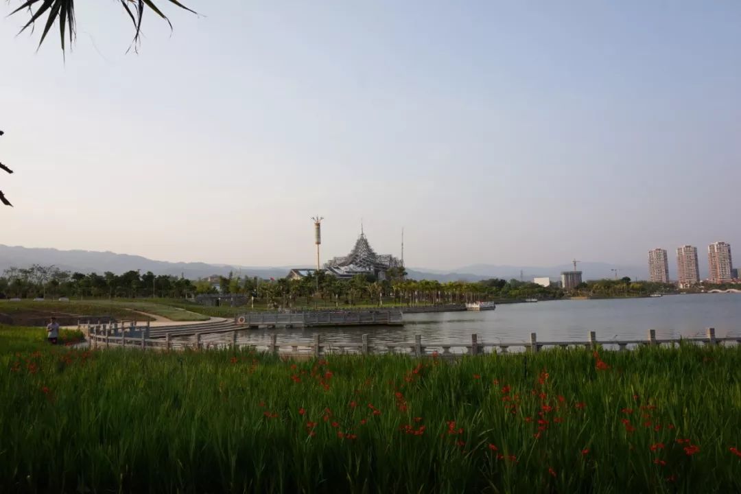 严重老化开裂,雨刮还不换?只会加玻璃水的7年老司机终于迎来换雨刮首秀!宝骏560女车主“*力暴**”安装的新雨刮,靠谱吗?