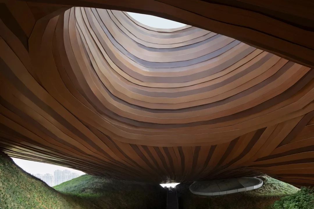 倪妮泳装“湿身”撩人;陈冠希“炒鞋”引群架;无印良品搞装修