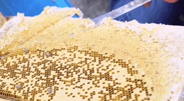 向大学蜂蜜研究所定制了一罐枇杷冬蜜，甜甜润润杏仁香