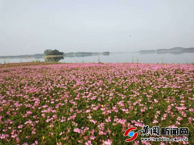 壮丽70年奋斗新时代内容简介,壮丽70年奋斗新时代湖北篇