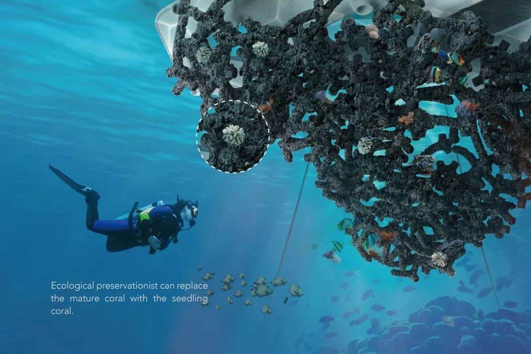 易烊千玺和王俊凯拍视频开盲盒,易烊千玺和王俊凯拆盲盒