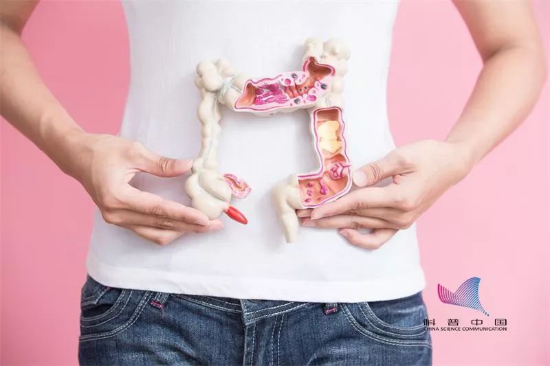 长寿排便的最好方法,长寿的最佳时间排便十次