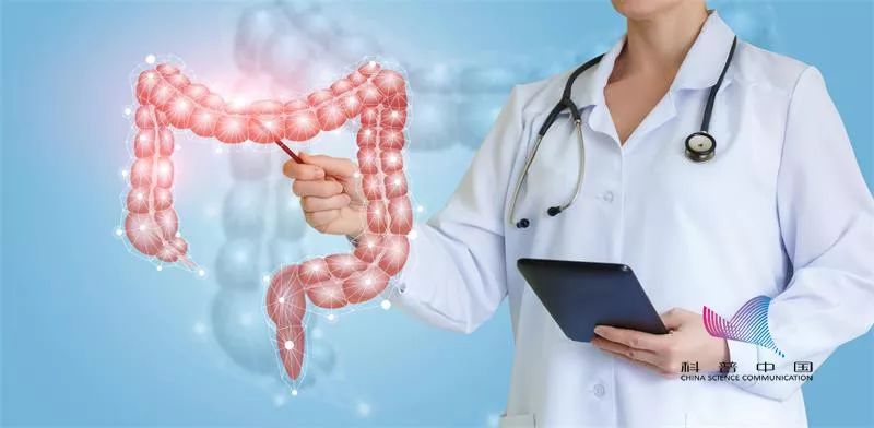 长寿排便的最好方法,长寿的最佳时间排便十次