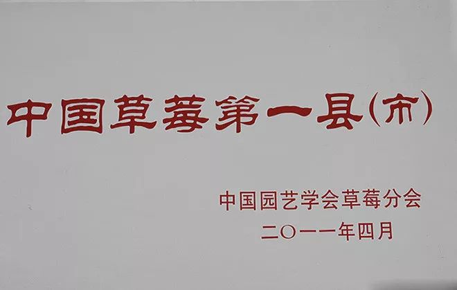 中国最甜草莓多少钱一斤,比鸡蛋大的草莓多少钱一斤