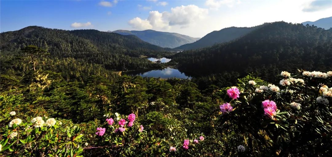 关于一张去丽江的旅游图,100张丽江照片