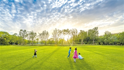 楂樻ゼ鏋楃珛鐜浼樼編,楂樻ゼ鏋楃珛閬撹矾瀹介様鏈夊北鏈夋按
