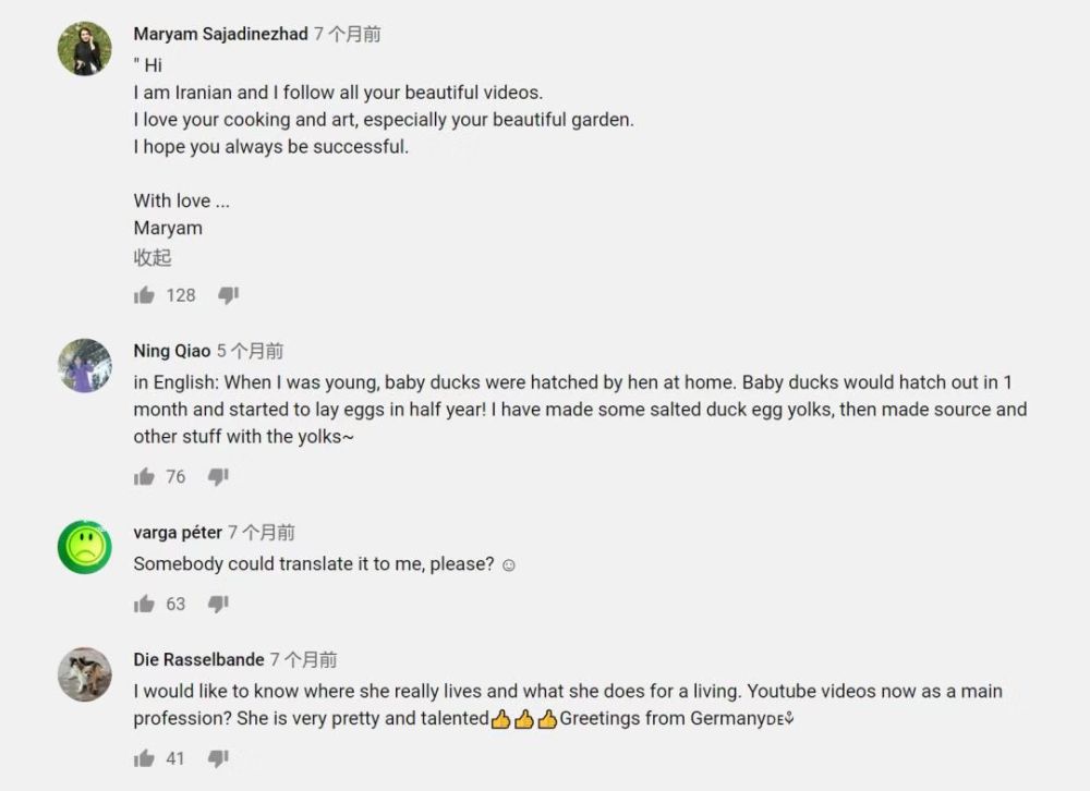 李子柒央视采访年度人物,央视评价李子柒启示