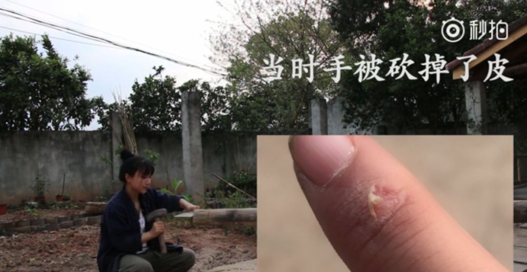 李子柒央视说最想做的三件事,李子柒受到央视表扬