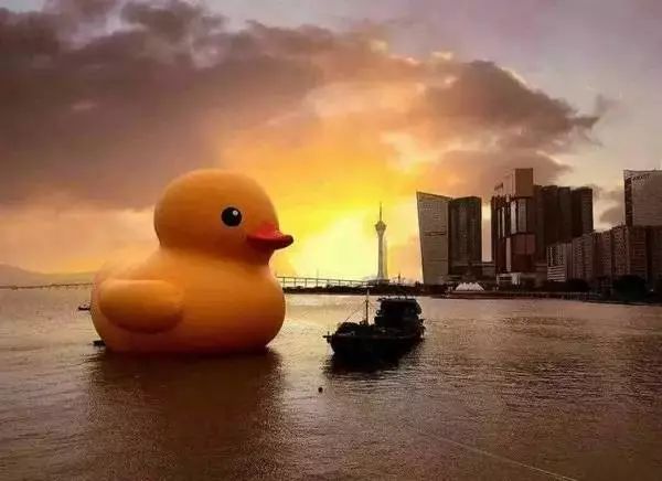 曾经的辉煌历史澳门风云,三年前看澳门风云