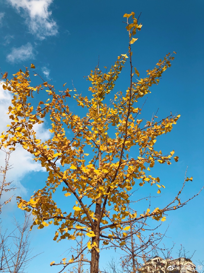 最新福州温泉公园,福州温泉公园