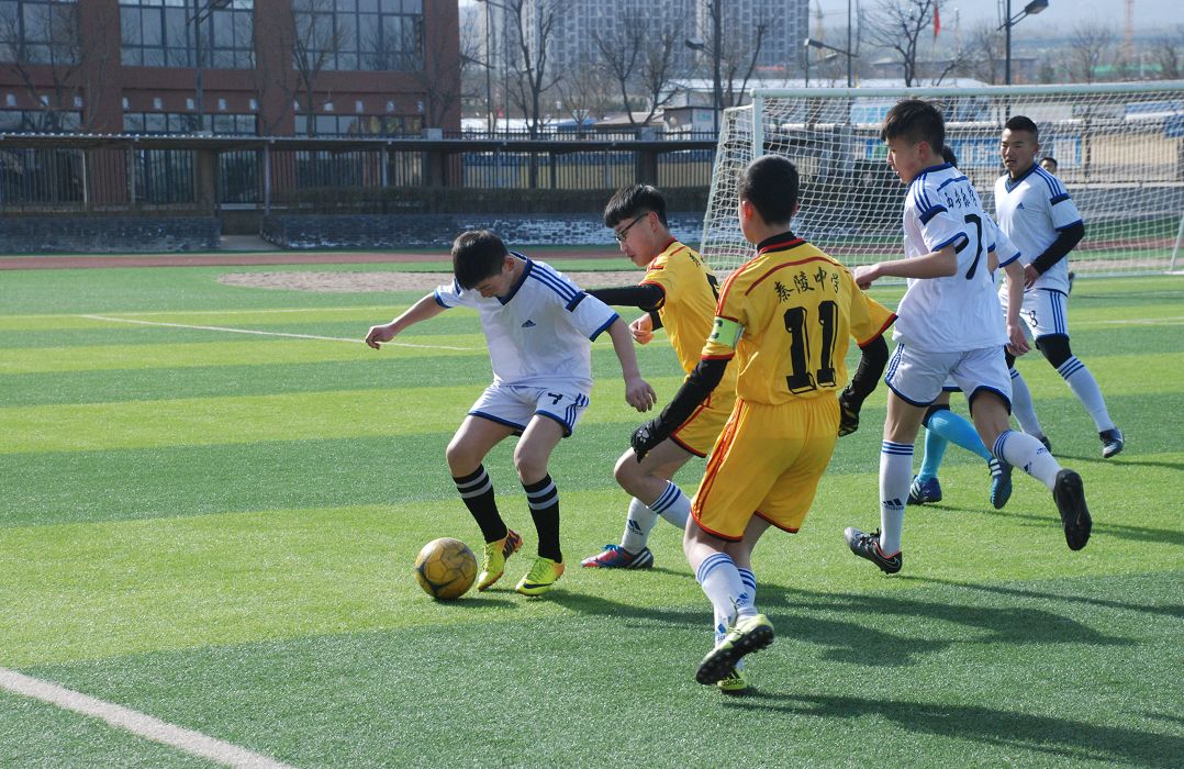 给力!临潼喜提全省唯一“国字号”荣誉!