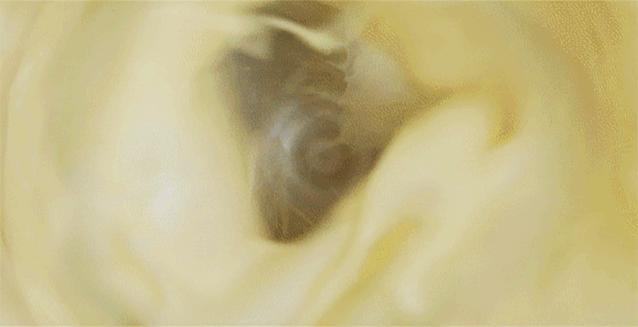 省去泡豆、滤渣，即刻畅享丝滑般的味觉盛宴