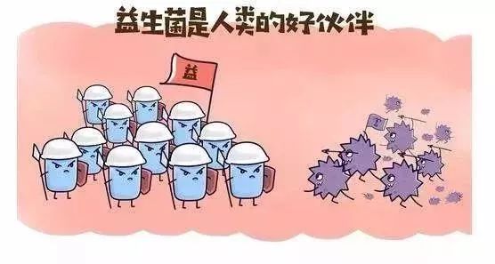 给肠道洗个澡，便秘、口臭、大肚腩都没了