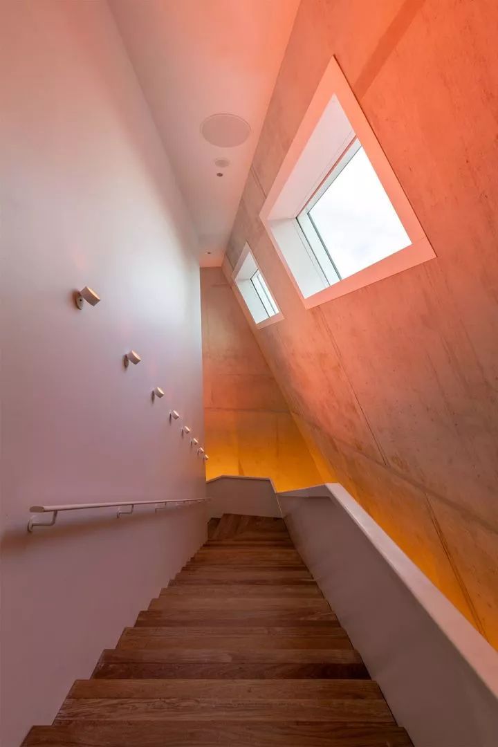 鏍肩綏瀹佹牴,鏍肩綏瀹佹牴forum