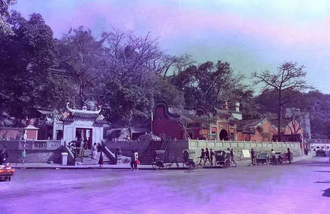 从天上看看你不曾见过的澳门,你没见过的图片