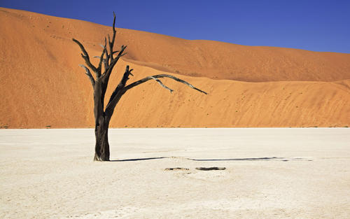 沙漠迷路为什么不能走直线,去沙漠走什么路线