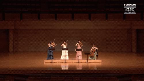 网络视频都是摆拍的吗,视频都是故意摆拍的吗