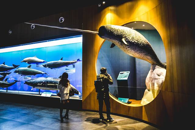 猝不及防闯入你的容颜｜你好，青岛