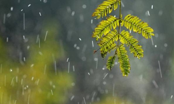 郑州绕城高速免费新政策,郑州洛阳高速免费最新政策