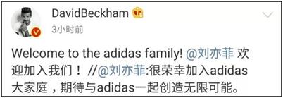 adidas新广告刘亦菲杨颖,刘亦菲取消了adidas代言吗