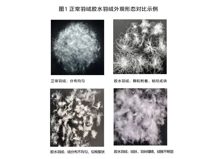 青岛人常买的衣服,青岛人穿什么牌子羽绒服