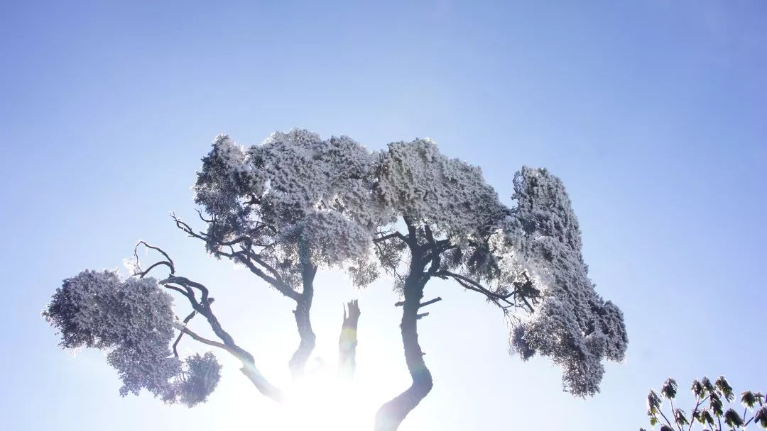 2020骞翠綑棰濆凡涓嶈冻,2019骞村凡浣欓涓嶈冻