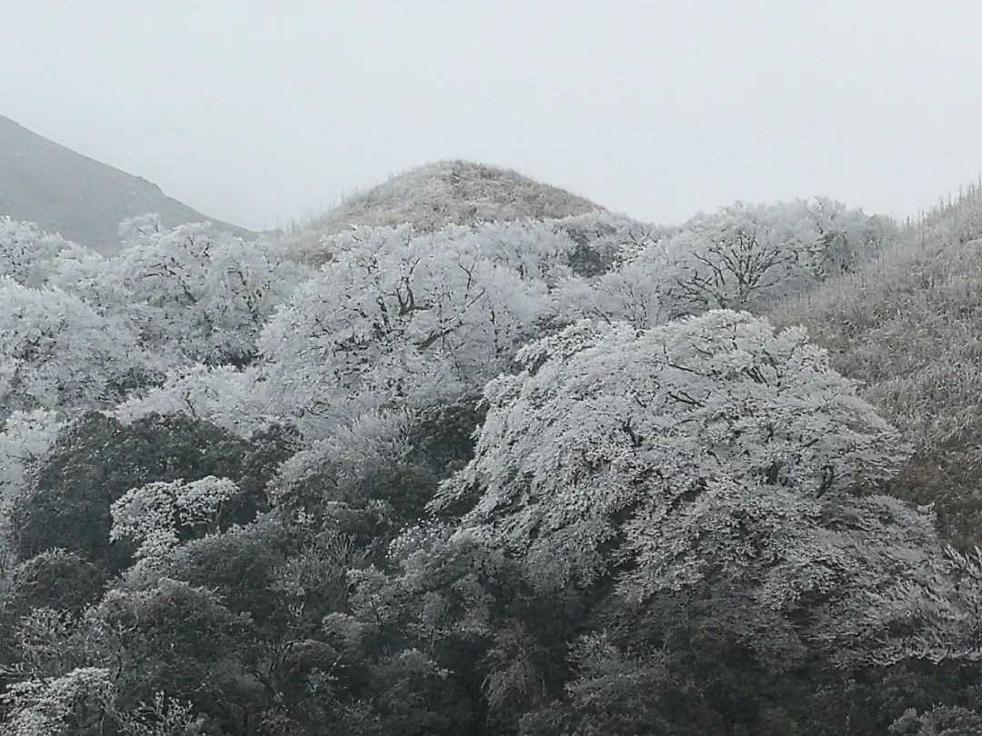 2020骞翠綑棰濆凡涓嶈冻,2019骞村凡浣欓涓嶈冻