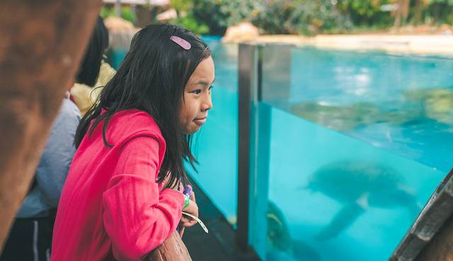 珠海长隆海洋王国海底夜宿,珠海长隆海洋王国鲸鲨馆海底区