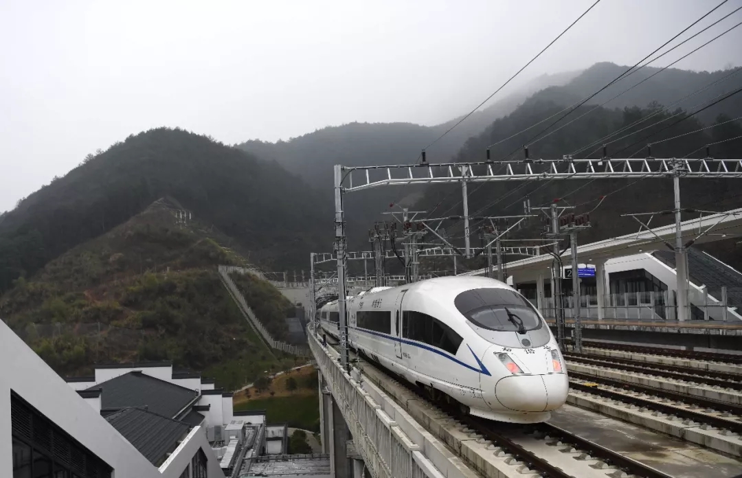 这是一张很大很大很大很大很大的网……