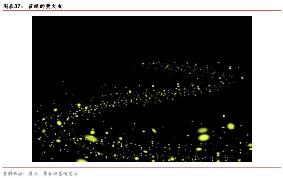华泰证券林晓明团队,华泰金工和林晓明谁强