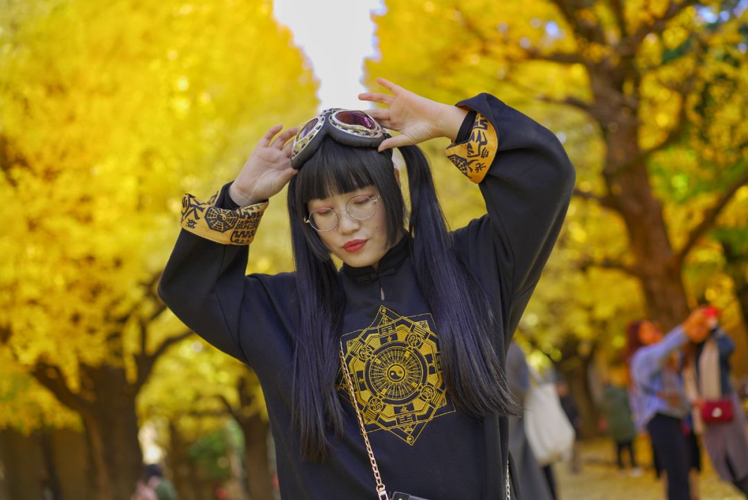 你有一份旅行指南,东京十五日游攻略