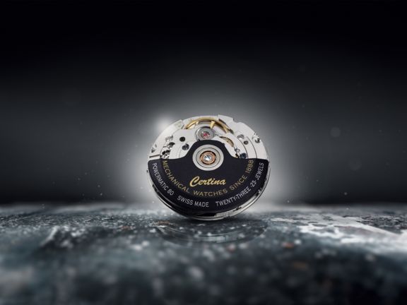 传统、颜值、价值，成就瑞表黑马股，雪铁纳神器——DS、大日历、长动力、防磁