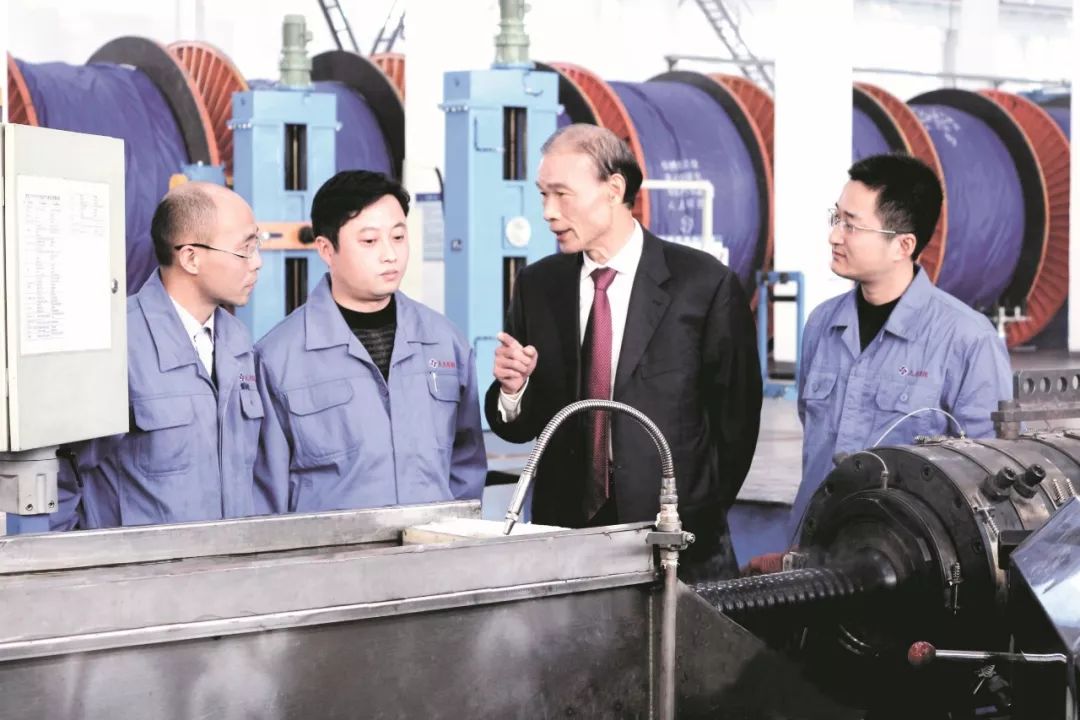 江苏上上电缆集团丁山华,上上电缆丁山华个人简历