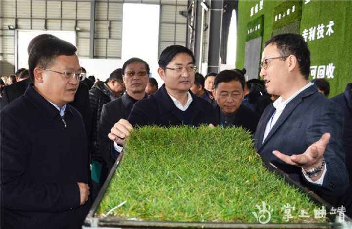 大咖聚集最新视频,大咖云集最新消息