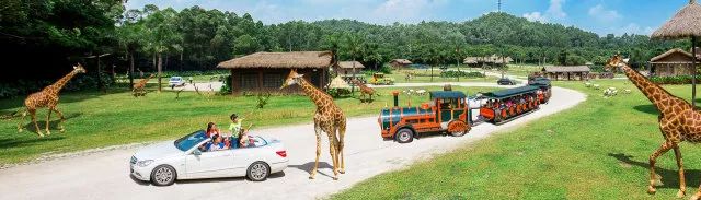 河南最大的动物园在哪里,河南野生动物园规划