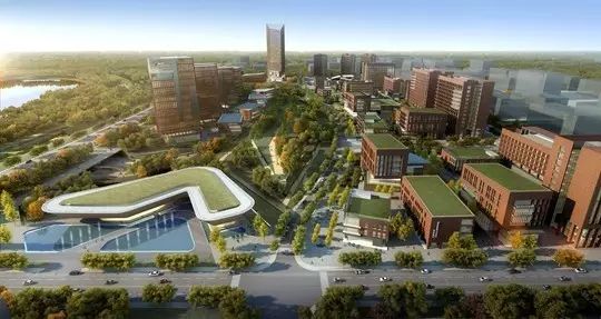 双流区医院规划,双流新建医院