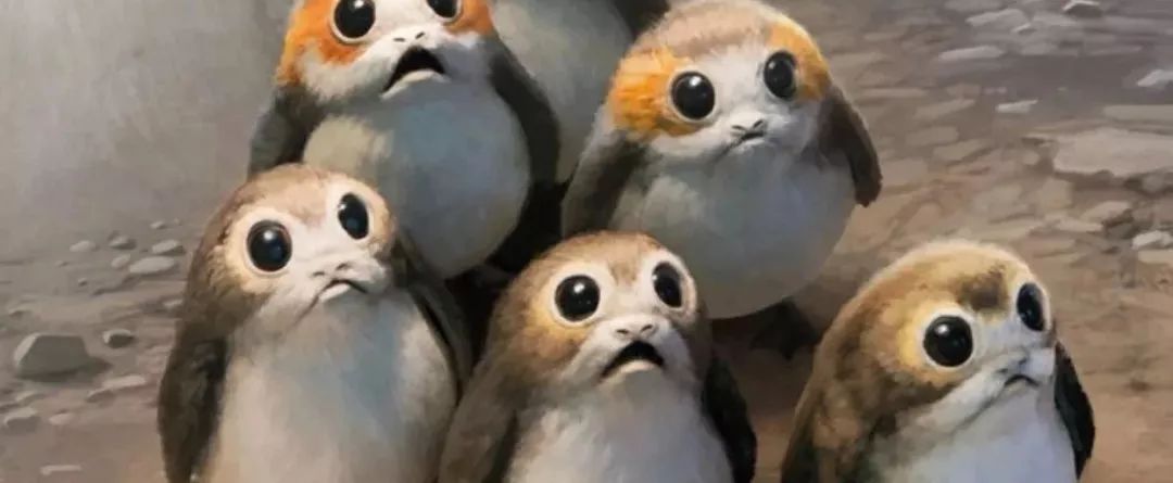 旅游必看的十部电影,旅游电影十大巅峰之作