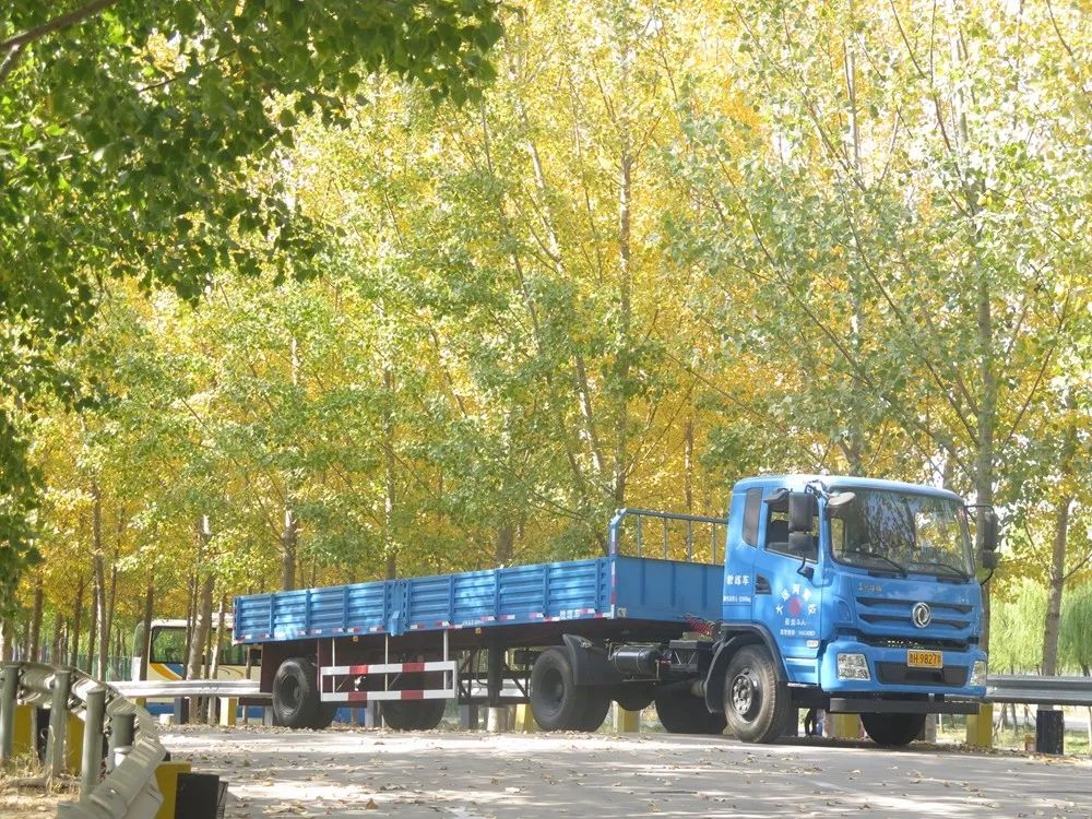 2015济宁驾校排名榜,济宁车管所驾校排名榜