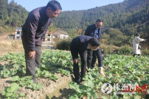 待到山花烂漫——追记“最美扶贫书记”黄诗燕