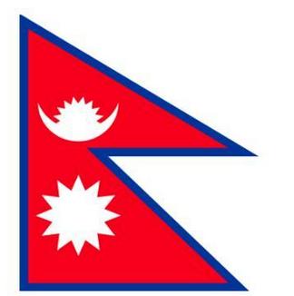 新年flag你们立好了吗,新年立个不倒的flag