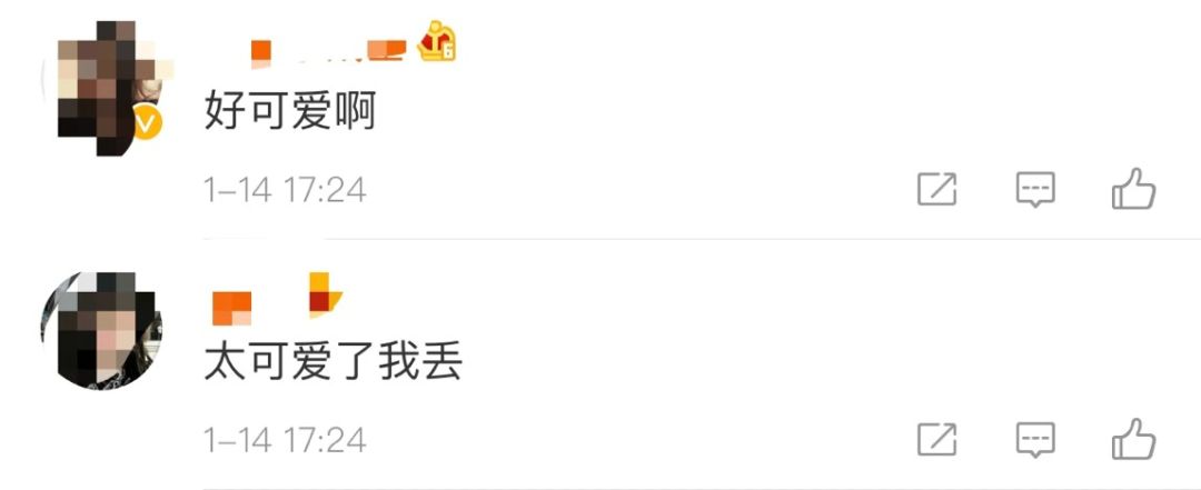 微信官宣小表情,微信表情包8.0的正确用法