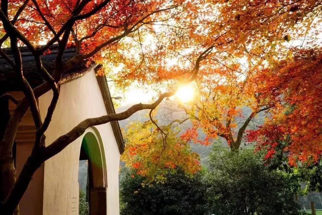 春节西湖酒店3天2晚推荐,杭州西湖附近酒店498三晚自由行