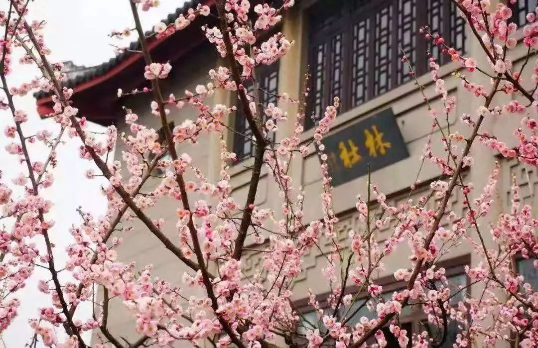 春节西湖酒店3天2晚推荐,杭州西湖附近酒店498三晚自由行