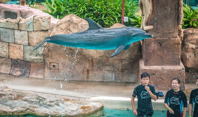 在新加坡圣淘沙玩几天,在新加坡怎么去圣淘沙