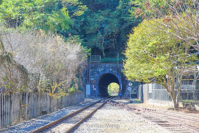 王鋆鋆「台湾乡村游」小众休闲秘境乐悠游
