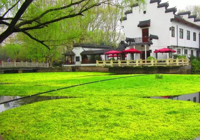 上海居民最新的福利政策,上海2020的惠民政策