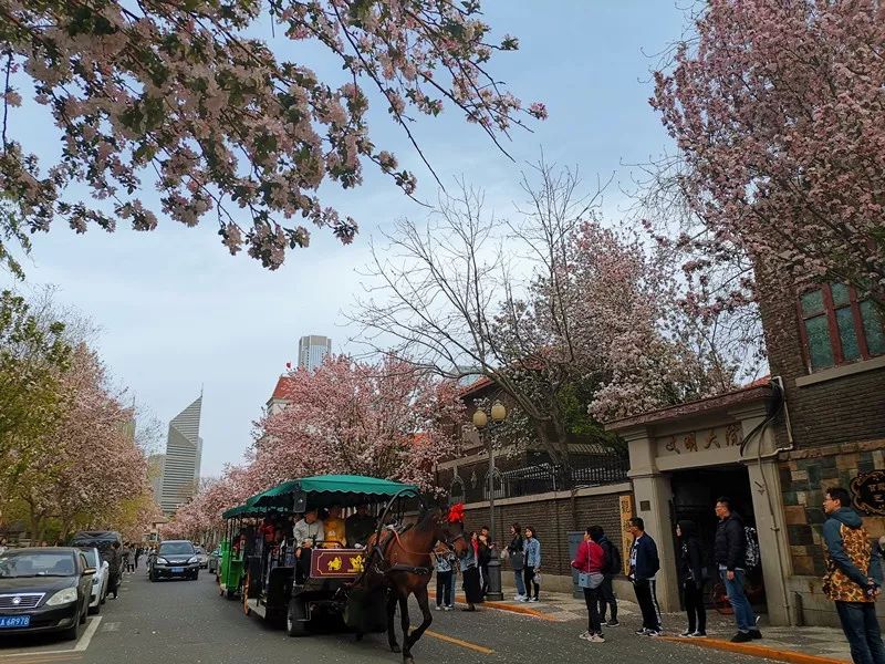 北京出发高铁3小时内旅游攻略,北京高铁2小时到达旅游攻略